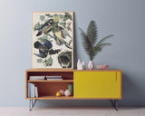 John James Audubon - Enten auf Baum