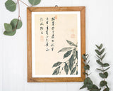 Itō Jakuchū - Sprossen