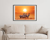 Zebras bei Sonnenuntergang