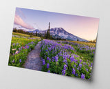 Blumenwiese in Bergsee-Landschaft