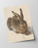 Albrecht Dürer - Feldhase