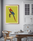 François Levaillant - Roter Ara