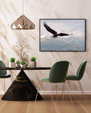 Fliegender Weißkopfseeadler