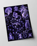 Ernst Haeckel - Kunstformen des Meeres in violett