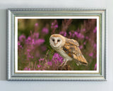 Eule in Blumenlandschaft