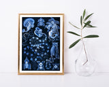 Ernst Haeckel - Kunstformen des Meeres in blau