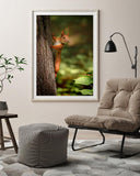 Eichhörnchen am Baum