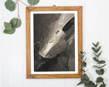 László Moholy Nagy - Schwarz-Weiß Fotografie - Felsen