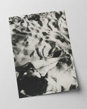 László Moholy Nagy - Schwarz-Weiß Fotografie - Am Strand