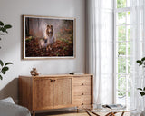 Katze und Hund in der Natur