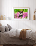 Katzen-Baby in Blumenwiese