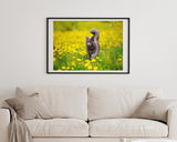 Katze in Blumenwiese