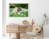 Katze in Blumenwiese