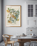 John James Audubon - Kolibris auf Nektarsuche