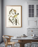 John James Audubon - Vögel auf Nahrungssuche