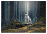 Husky im Wald