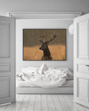 Hirsch im hohen Gras