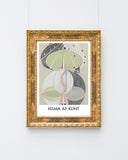 Hilma Af Klint - Museum-Poster II Tree Of Knowledge, Nr. 5