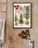 Weiße und rote Lilien